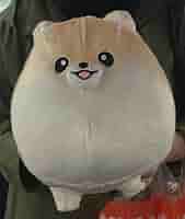 Amazon.co.jp: 限定 ふわふわ ポメのぽぽち ビッグ ぬいぐるみ